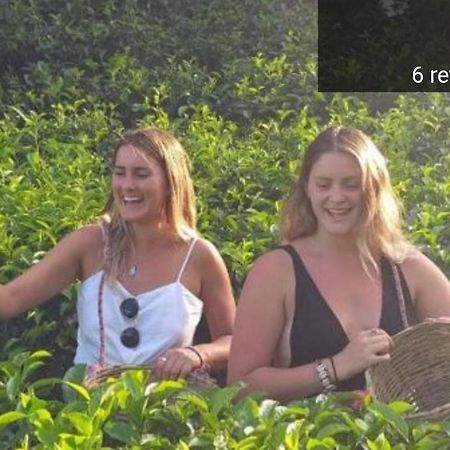 Tea Villas Ella Zewnętrze zdjęcie