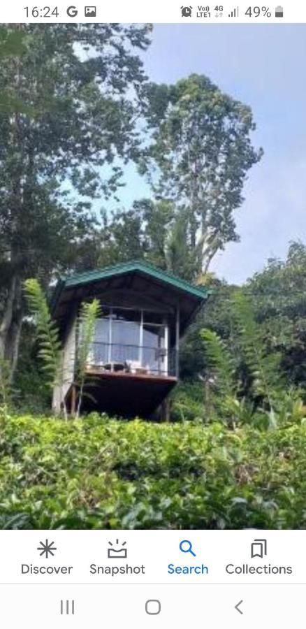 Tea Villas Ella Zewnętrze zdjęcie