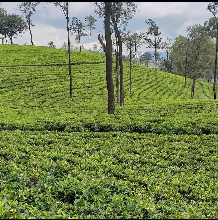 Tea Villas Ella Zewnętrze zdjęcie