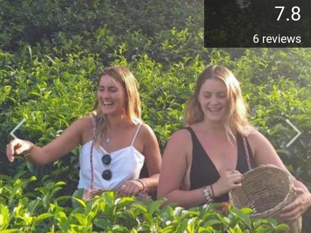 Tea Villas Ella Zewnętrze zdjęcie