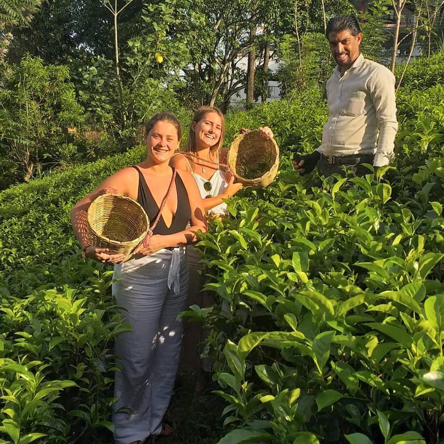 Tea Villas Ella Zewnętrze zdjęcie