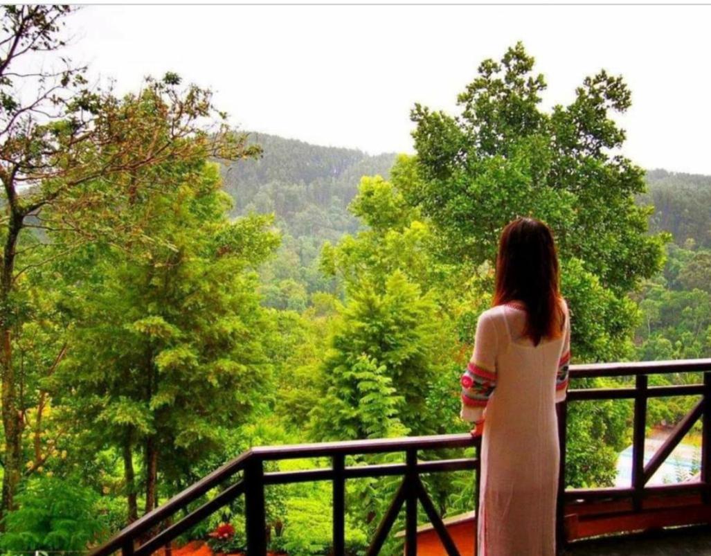 Tea Villas Ella Zewnętrze zdjęcie